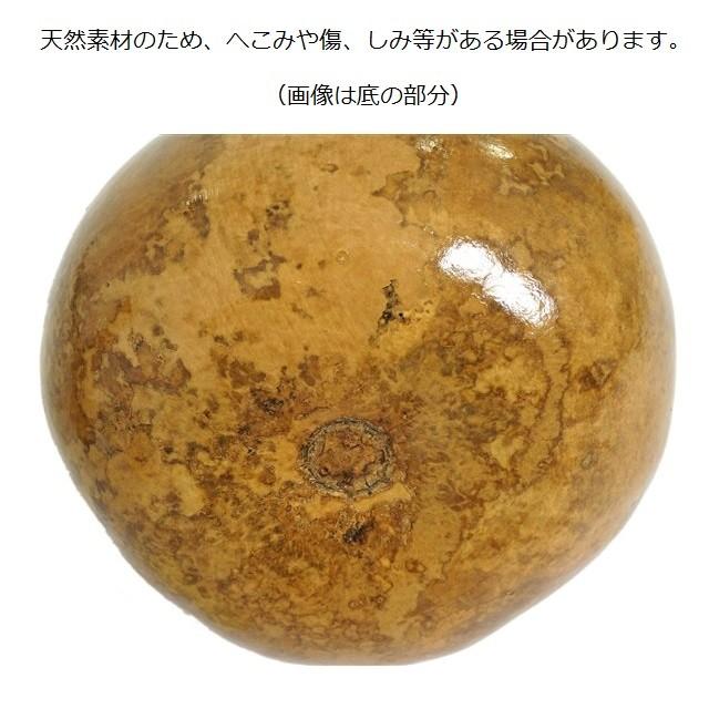 イプ Mサイズ 楽器 ハワイ産 フラダンス カヒコ 送料全国300円 : キラ