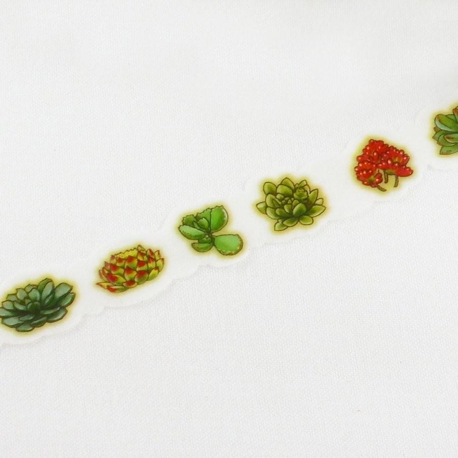 ハワイ 型抜き マスキングテープ 2個セット 多肉植物・ヒトデ・シェル