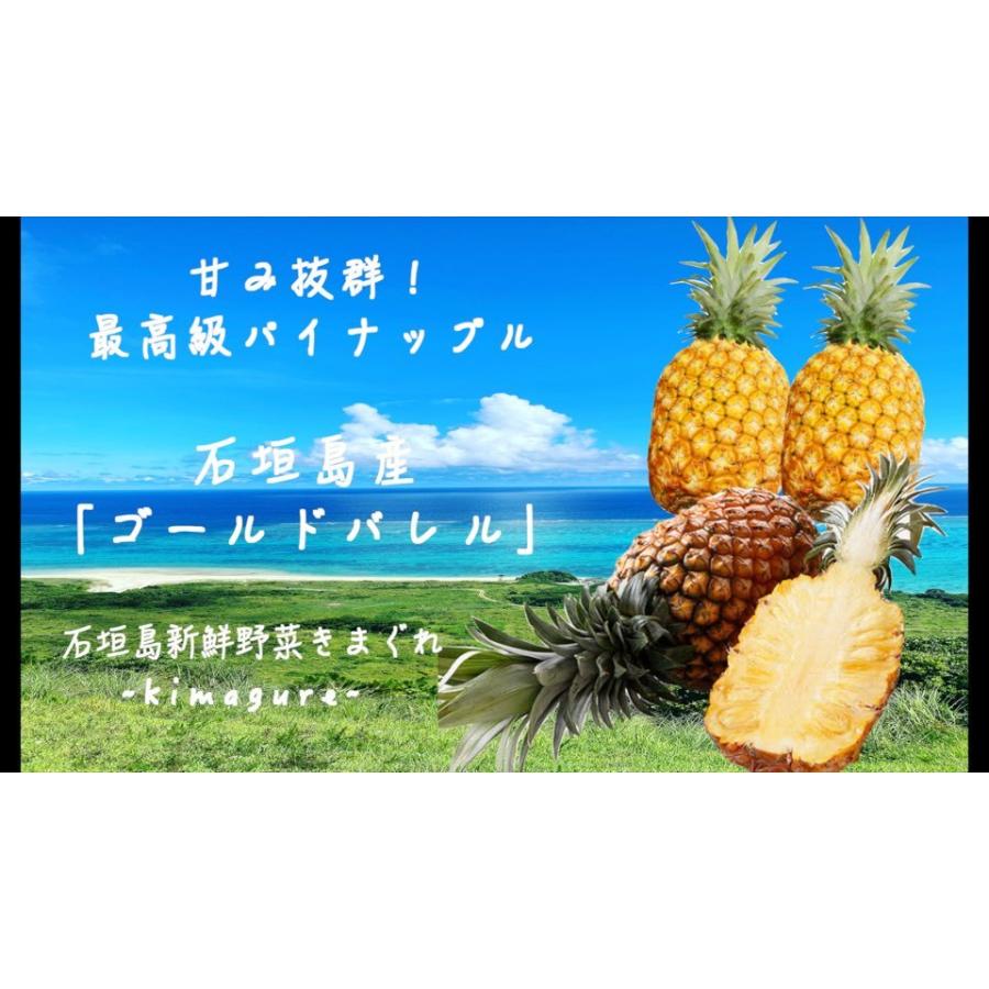 最安値に挑戦】 パイナップル3玉 ゴールドバレル i9tmg.com.br