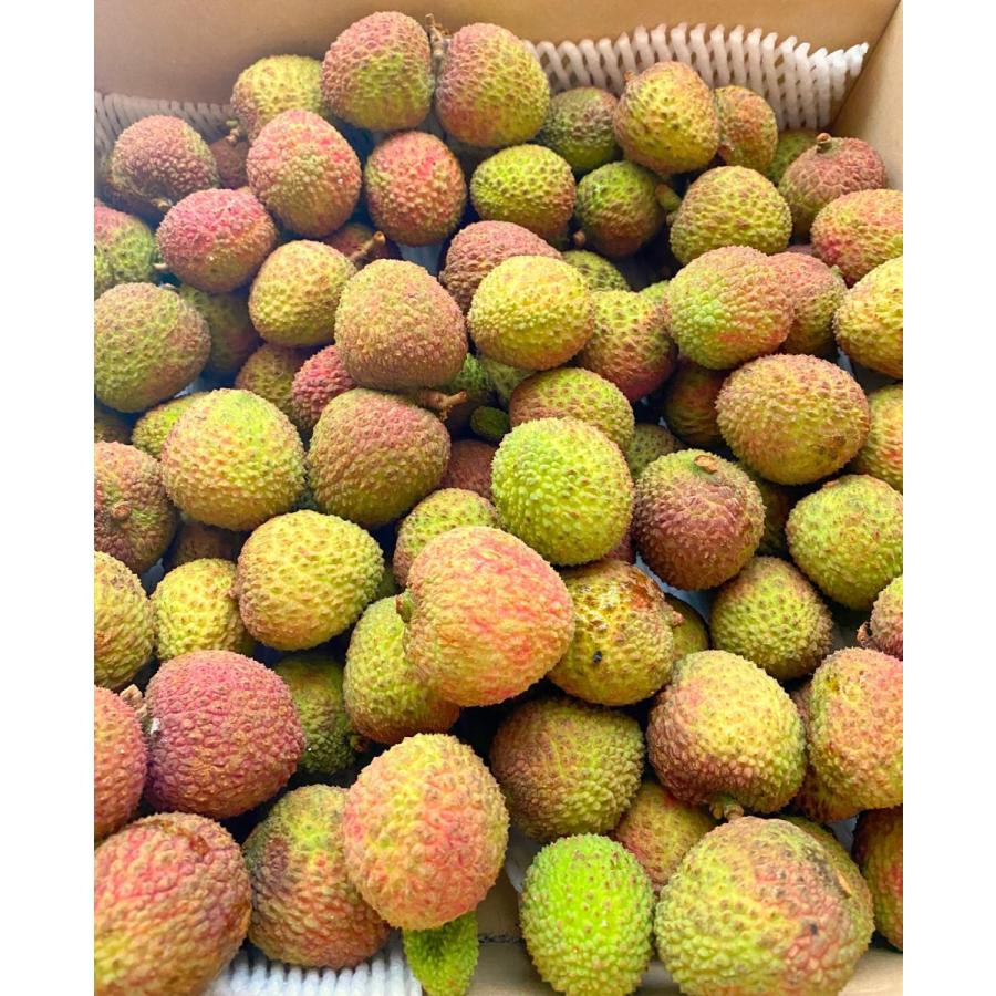 石垣島産 生ライチ 1kg 石垣島産「生ライチ」1kg : 石垣島新鮮野菜きまぐれ - 通販