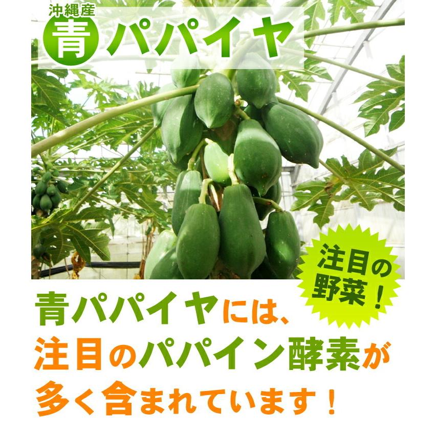 石垣島産 青パパイヤ 1玉 スペシャルオファ