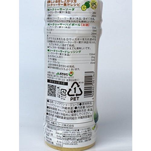 【２点セット】 JAおきなわ シークヮーサー１００×24本 【J2435558386】(12851円)