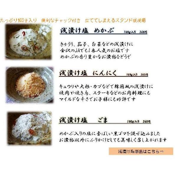 にんにく塩 100g 塩 浅漬け塩 ガーリックソルトペペロンチーノ