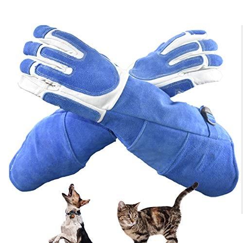 3 5営業日以内に出荷します ギガランキングｊｐ