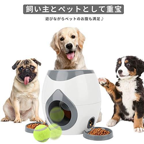 未亡人 クレタ 執着 犬 自動 ボール Teatroballetbarcelona Com