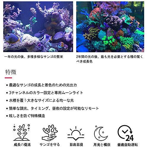 新しい調光海水 サンゴ 水槽用照明観賞魚飼育礁の珊瑚sps Lpsの魚飼育用の水槽ライトをつけることを導きました Wss 46lkspxpditm Kimaki オンライン 通販 Yahoo ショッピング