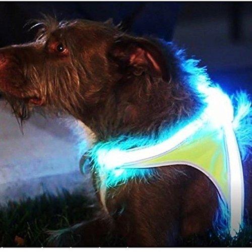 最適な価格 Lighthound ライトハウンド ハーネス 犬 用 Led 光る マルチカラー 小型犬 中型犬 大型犬 イルミネーション モード Wss 69i7e9ui2qj9 Kimaki オンライン 通販 Yahoo ショッピング Web限定 Jeannesauve Org