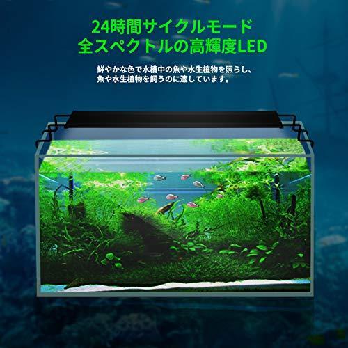 Eayhm アクアリウムライト 水槽led 照明 魚ライト 調光 タイマー付き 30 60cm水槽対応 極薄 省エネ 水草育成 Large Wssj B08lmcl3xq Kimaki オンライン 通販 Yahoo ショッピング