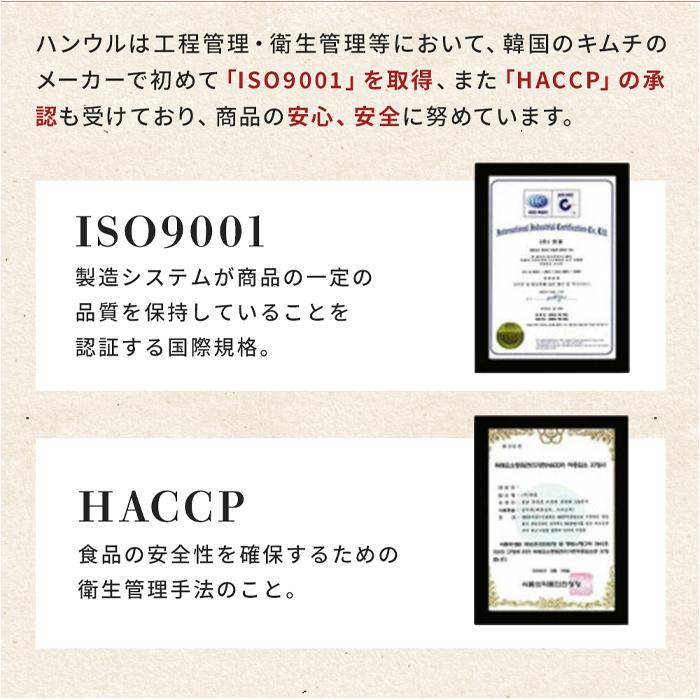 激辛シルビキムチ 300g 韓国ハンウル 韓国産 韓国キムチ 発酵 激辛シルビキムチ 300g 韓国ハンウル 韓国産 韓国キムチ 発酵