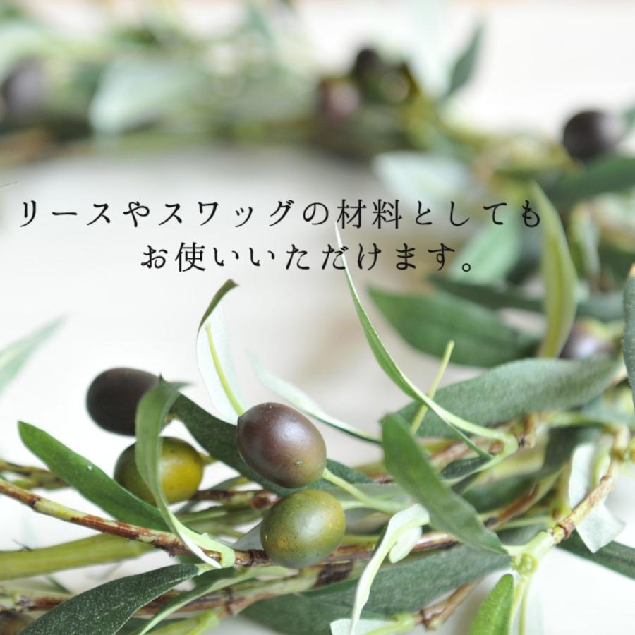 スペインオリーブ A 約250cm 直輸 古木 地植え 丈夫 現品 植木 シンボルツリー 庭木 苗木 ガーデニング オリーブの木 実 記念樹 エクステリア 外構 高品質 G10 樹緑 Yahoo 店 通販 Yahoo ショッピング