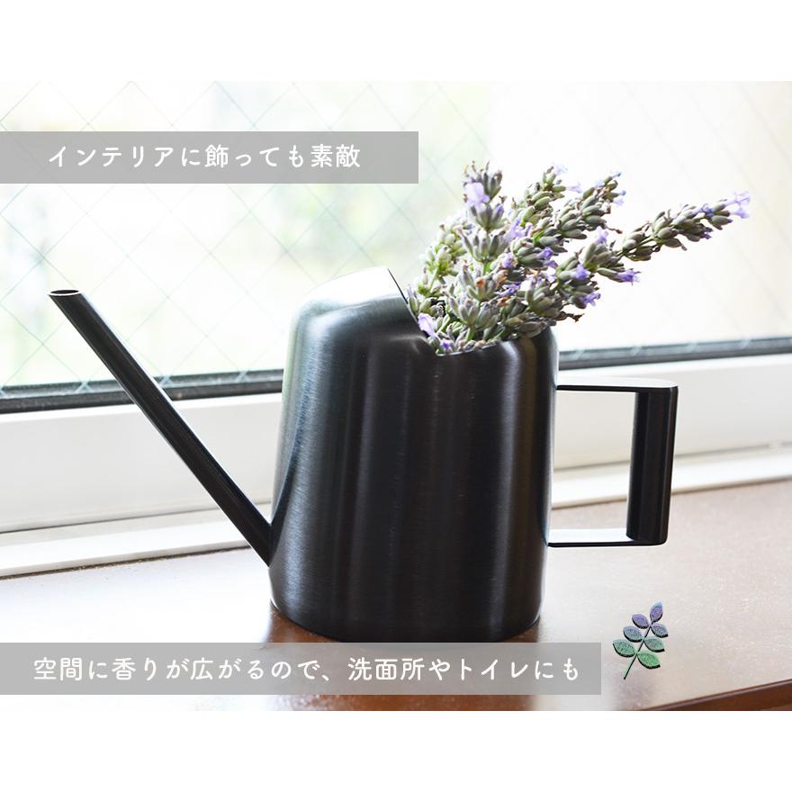 内祝い ラベンダー 苗 個セット 植木 庭木 ハーブ 10 5cmポット 低木 イングリッシュガーデン 地植え 花壇 エクステリア ガーデニング 芳香 香り 人気ブランド Herbalpotential Co Nz