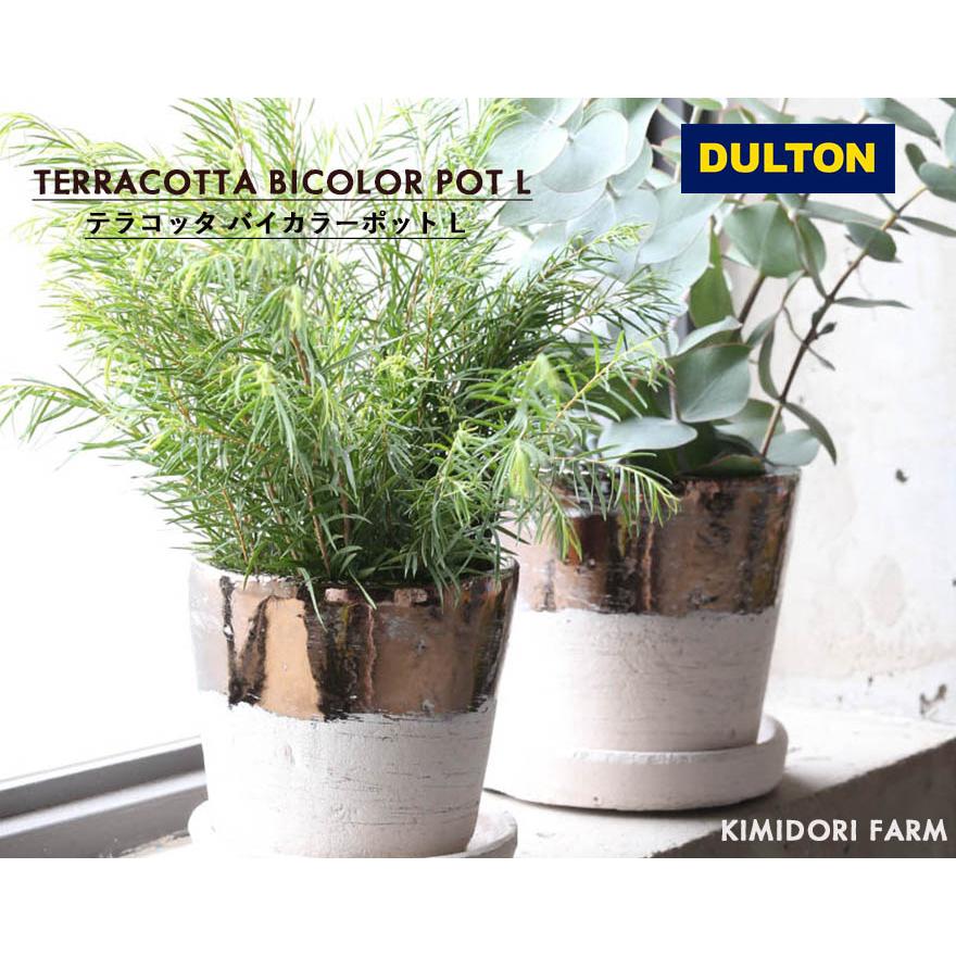 DULTON TERRACOTTA BICOLOR POT L テラコッタ バイカラー ポット