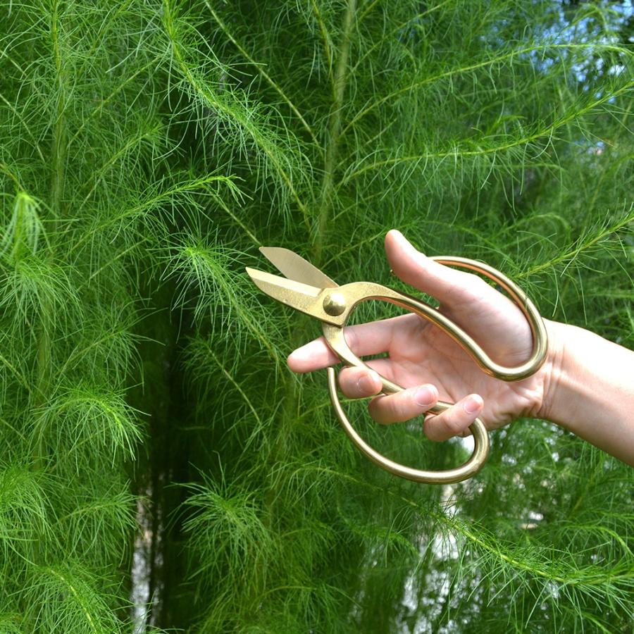 Bonsai Scissors ボンサイ シザーズ Dulton ハサミ プレゼント ダルトン オシャレ 植木 庭木 園芸 ガーデニング 道具 アンティーク 庭 Zakka11 樹緑 Yahoo 店 通販 Yahoo ショッピング