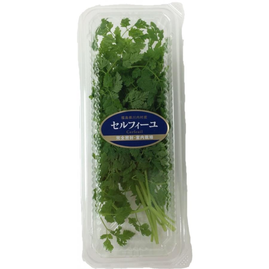 セルフィーユ チャービル 約10ｇ Kimidori Shop 通販 Yahoo ショッピング