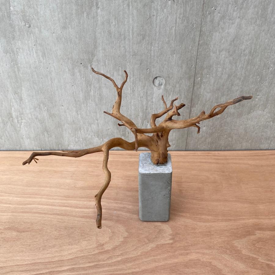 【コンクリート盆栽 流木オブジェ】 アート アクセサリー インテリア 爬虫類 爬虫類 アクセサリー 流木オブジェ】 インテリア 【コンクリート盆栽 アート