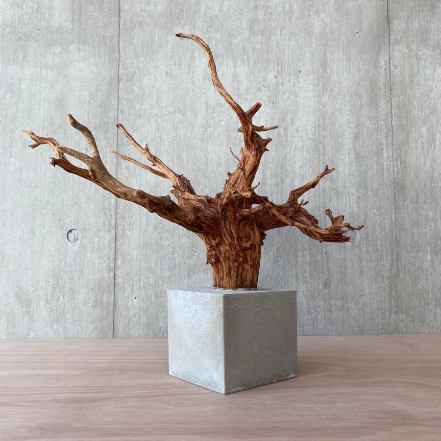コンクリート盆栽 流木 オブジェ ディスプレイ 高級感 スタイリッシュ アート コンクリート盆栽 流木 オブジェ ディスプレイ 高級感