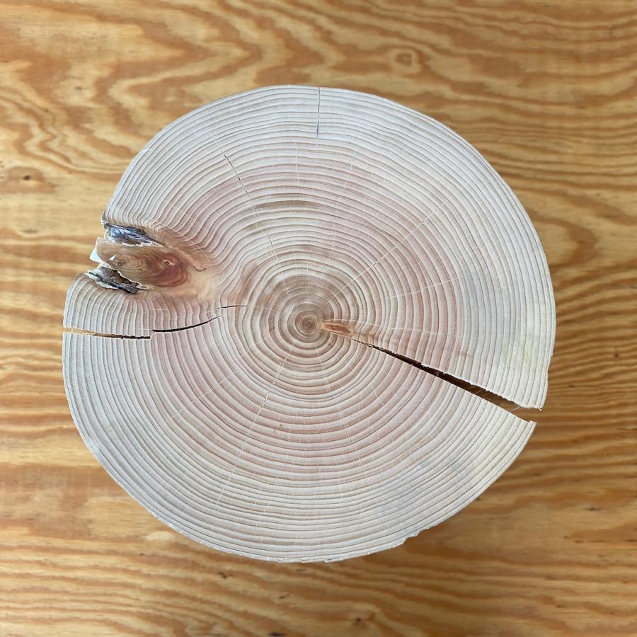 欲しいの 白ペンキを塗ったヒノキの切り株の置物 2 細 オブジェ 置き物 qhema Com