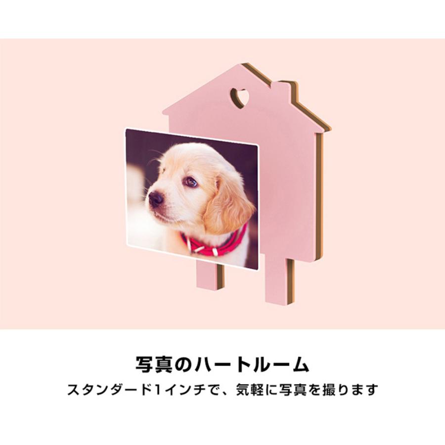 犬 誕生日 ギフト 手形 猫の手形 足形 メモリアルグッズ ペットの足型 肉球グツズ プレゼント 犬の足型