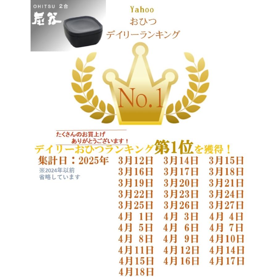 おひつ 炭器 MORII 節電 お櫃 2合 保存 ふっくら旨いご飯 電子レンジ