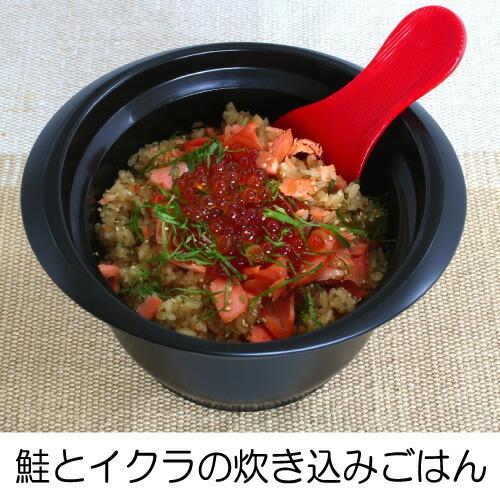 おひつ 炭器 MORII 2合 電子レンジ対応 送料無料 ごはん保存容器