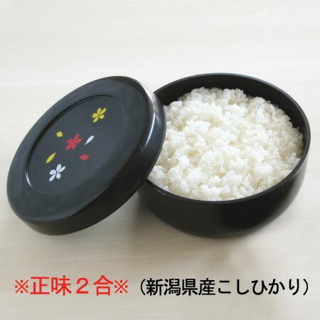 【MORII 日本製】炊飯器保温より節電 2合 おひつ 二合 ほっこり 美味しいご飯 冷凍 竹炭入プラスチック おひつ＆ご飯スチーマー保存容器約1杯分×2個 M-860｜kimochiiikitchen｜05