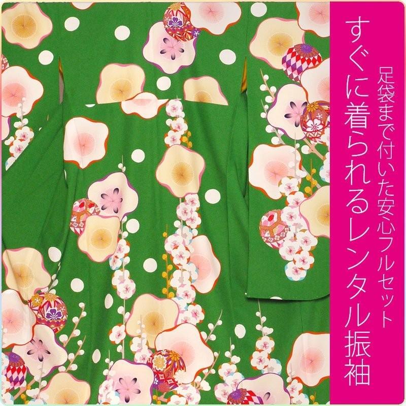 NISHIORI 画像の帯がセットになる 芸艸堂 ブランド レンタル商品 振袖