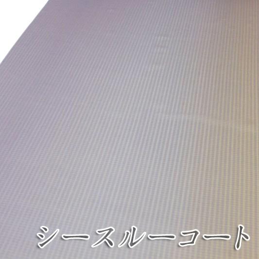 シースルーコート 雨コート 塵除け 晴雨兼用 スリーシーズン 正絹 すか 