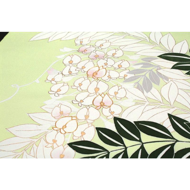 名古屋帯 塩瀬 薄黄緑色 藤 絹菱 正絹 本加工友禅 九寸 五泉 新品 未  