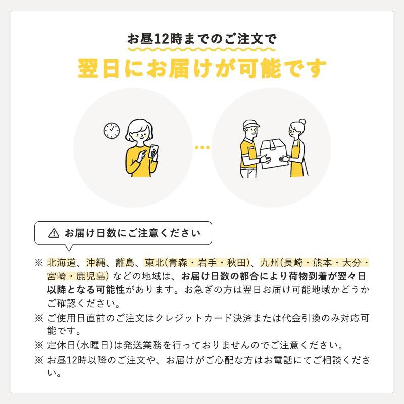 訪問着レンタル 安い 格安 mtu-49 着物フルセット 結婚式 披露宴 入学式 入園式 七五三 お宮参り 記念日 家族写真 母親 ママ 母 保護者 衣裳 衣装｜kimono-company｜05