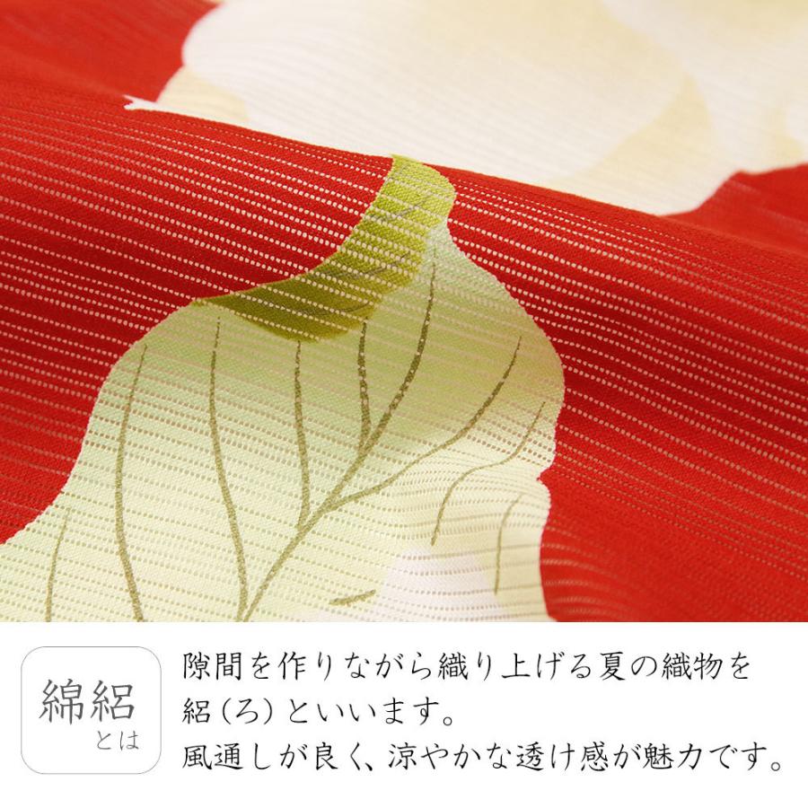 夏着物 綿絽 岡重 泰山木 花 赤 黄色 古典柄 レディース 30代 40代 50