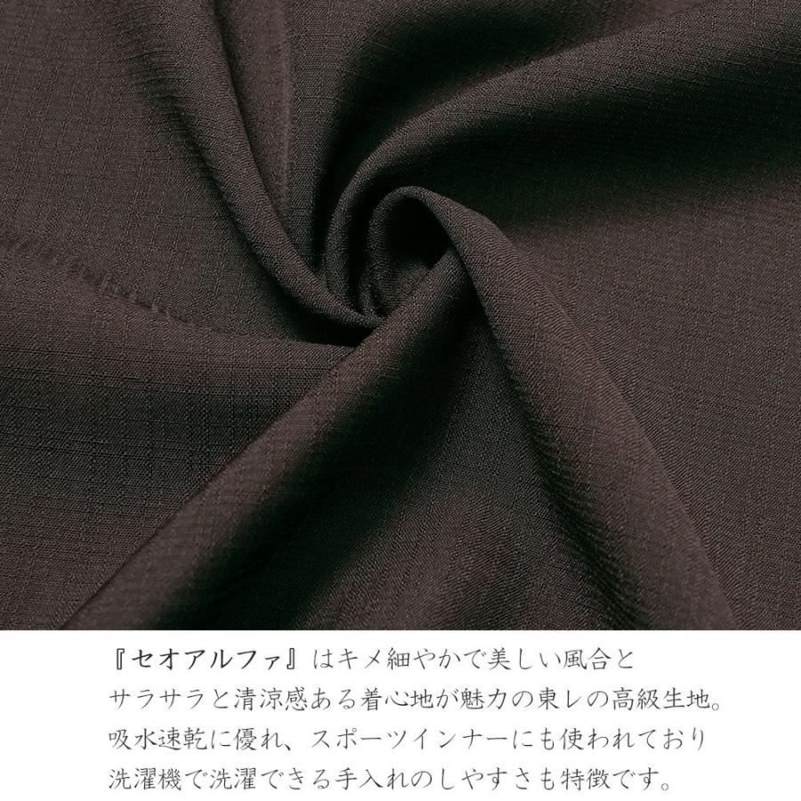 夏着物 美術サロン 無地染 刺繍 セオアルファ ダークブラウン