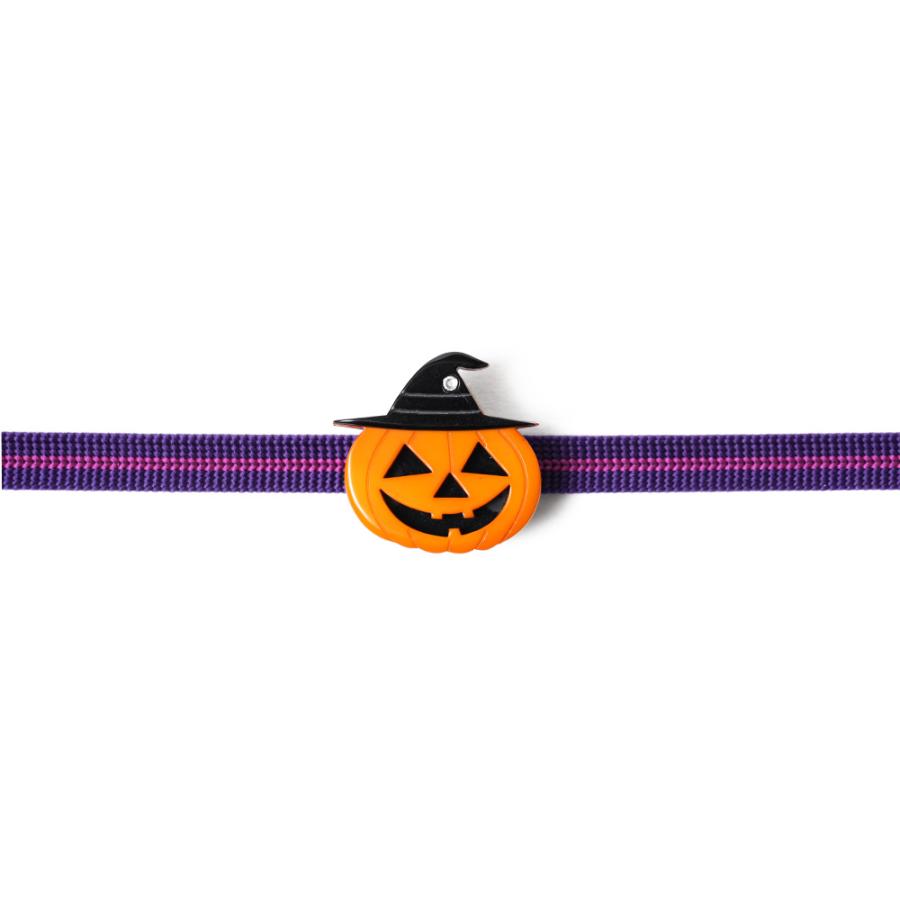 帯留め ジャックオランタン ハロウィン かぼちゃ 秋 オレンジ ライン