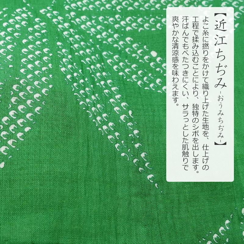 着物 単衣 近江ちぢみ 長板染め 鹿の子絞り風 笹 緑 紫 黒 着物 単衣 近江ちぢみ 長板染め 鹿の子絞り風 笹 緑 紫 黒