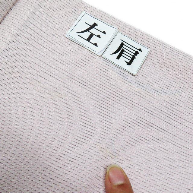 夏物 付け下げ 付下げ 訪問着 着物 中古 正絹 絽 滝泰 落款 反端付き