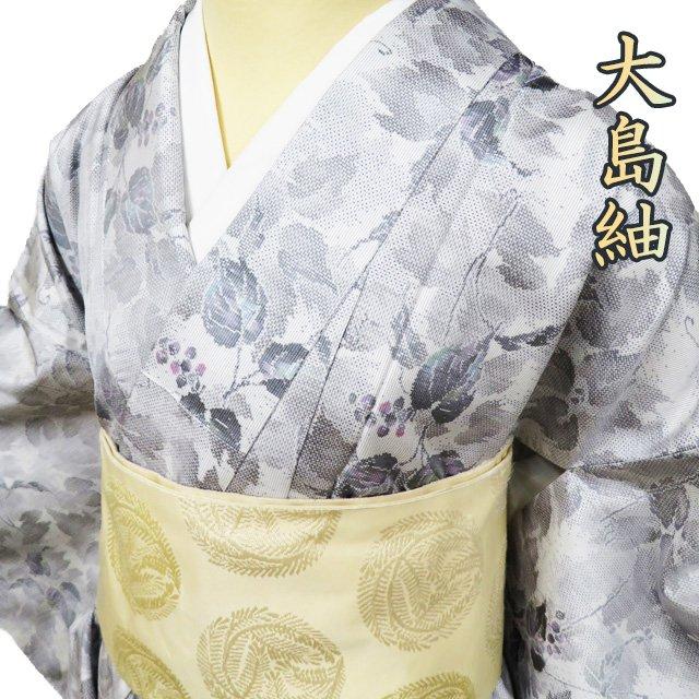 大島紬 白大島 着物 中古 正絹 袷 カジュアル 植物文様 オフホワイト