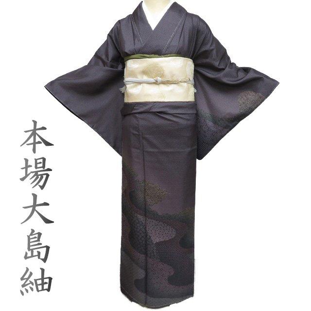 13 着物　袷 本場 大島紬 着物 未使用 正絹 袷 セミフォーマル ラベル付き 江戸小