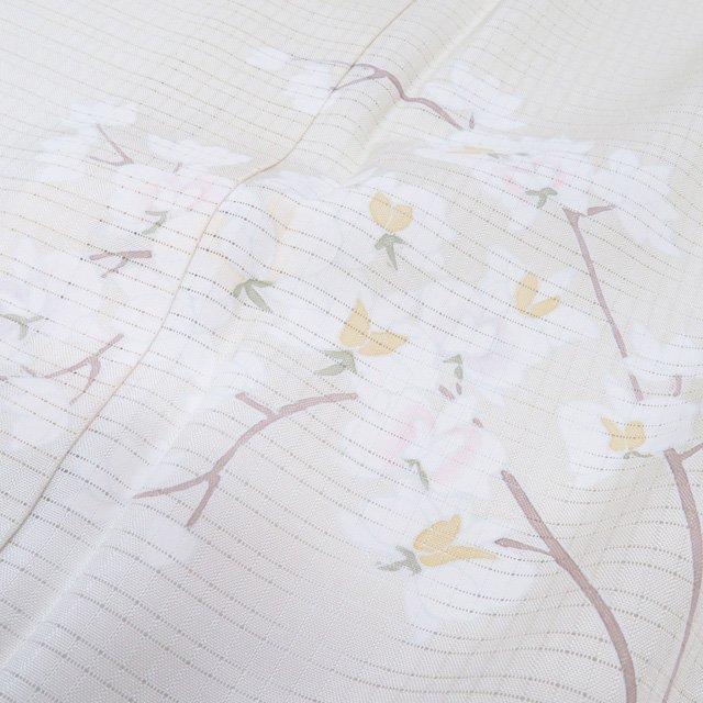 夏物 夏着物 付下げ 付け下げ 訪問着 着物 中古 正絹 花の図 暈し 女郎花色 多色 身丈164cm 裄68cm L きもの北條 A1255-15の画像