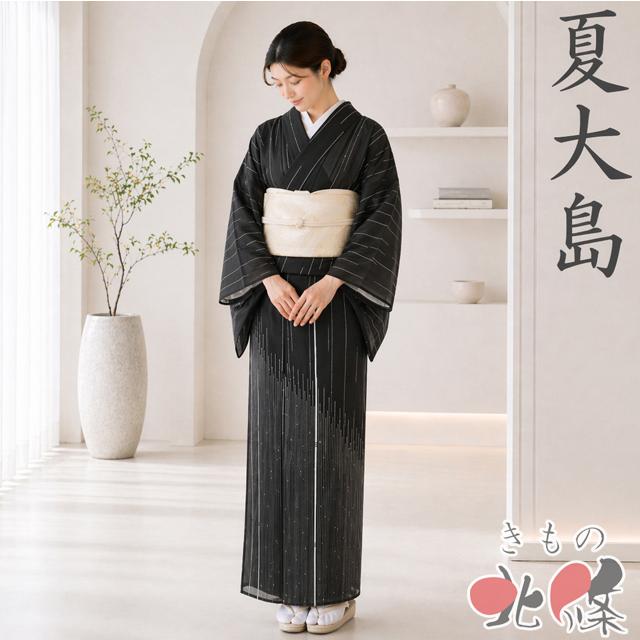 夏物 夏着物 夏大島 大島紬 着物 中古 正絹 カジュアル 線模様 黒色 
