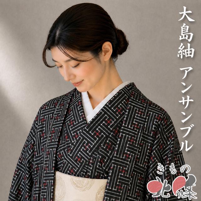 大島紬 着物 羽織 2点セット アンサンブル 中古 正絹 袷 カジュアル 秋 