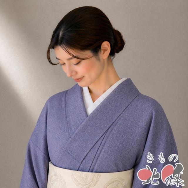 小紋 江戸小紋 着物 中古 正絹 袷 カジュアル 立分銅文様 菖蒲色 身丈 