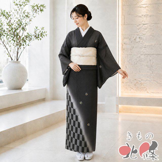 夏物 付け下げ 付下げ 訪問着 着物 中古 正絹 刺繍 波文 市松模様 