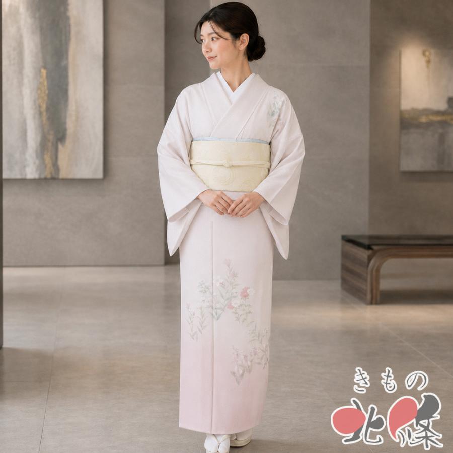 美品 正絹薄もの 作家物 紗訪問着 絽袋帯セット 葡萄文様 夏物