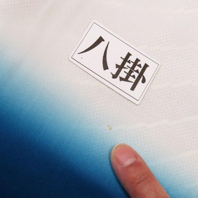 特選 本場 大島紬 白大島 着物 中古 正絹 袷 カジュアル 都喜ヱ