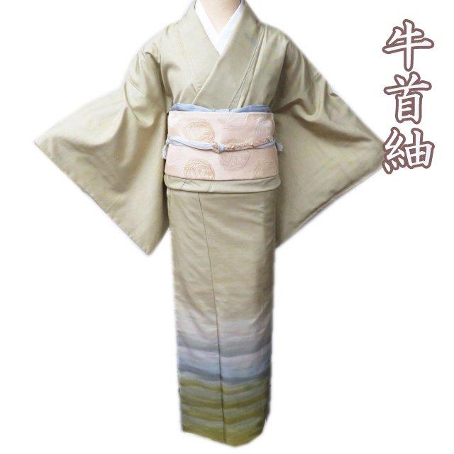 白山紬 付下げ 作家物 未使用 美品 プレゼント牛首紬袋帯付き 白山紬 付下げ 作家物 未使用 美品 プレゼント牛首紬袋帯付き