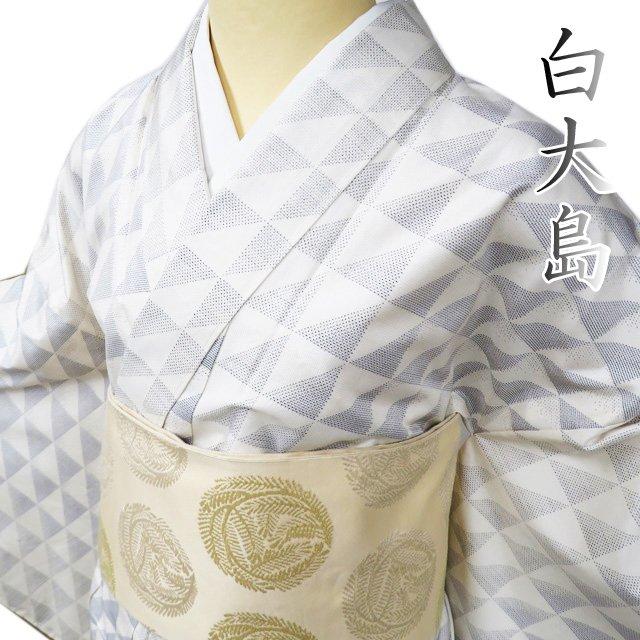 特選 大島紬 白大島 着物 中古 正絹 袷 カジュアル 三角柄 オフホワイト 鼠色 身丈166.5cm 裄71.5cm L トール きもの北條 A999-1 特選 大島紬 白大島 着物 中古 正絹 袷 カジュアル 三角柄 オフ