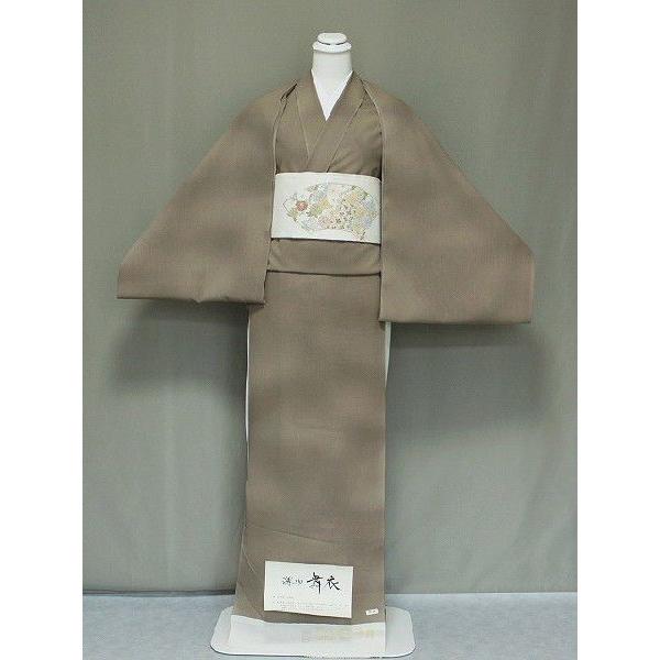 絽小紋 小紋 格安 単衣（ひとえ）用・夏用に無地調の着物・反物 未仕立 