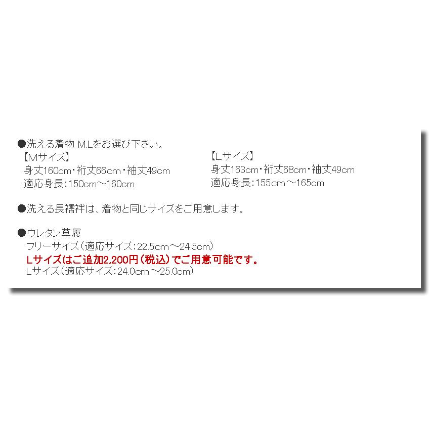 着物セット 13点 M L 袷 着物 帯 着付 小物 セット 洗える 小紋 初心者 デビュー 福袋 女性 和服 和装 レディース 40代 50代 30代 | ブランド登録なし | 06
