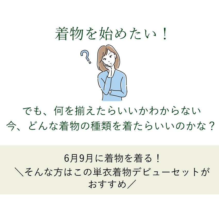 洗える着物  単衣 19点セット 春 秋 M L 送料無料 小紋 仕立て上がり 初心者 デビュー 福袋  稽古 着付 練習 着物 女性 レディース ひとえ きもの | ブランド登録なし | 01