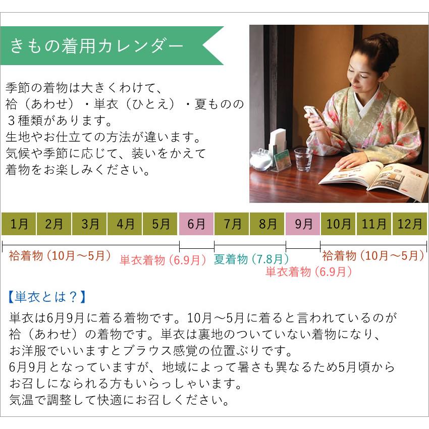 洗える着物  単衣 19点セット 春 秋 M L 送料無料 小紋 仕立て上がり 初心者 デビュー 福袋  稽古 着付 練習 着物 女性 レディース ひとえ きもの | ブランド登録なし | 03