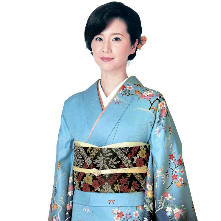 H.L 訪問着 フルセット 18点 洗える 着物 帯 長襦袢 帯揚げ H.L 訪問着 フルセット 18点 洗える 着物 帯 長襦袢 帯揚げ